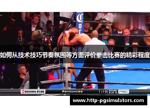 如何从技术技巧节奏氛围等方面评价拳击比赛的精彩程度