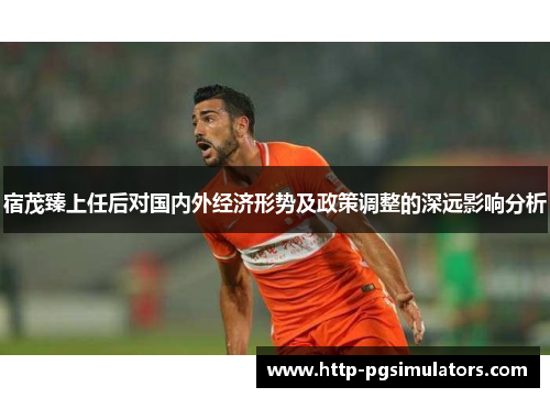 宿茂臻上任后对国内外经济形势及政策调整的深远影响分析