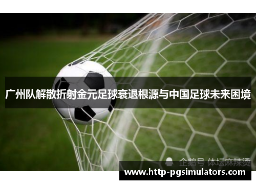 广州队解散折射金元足球衰退根源与中国足球未来困境