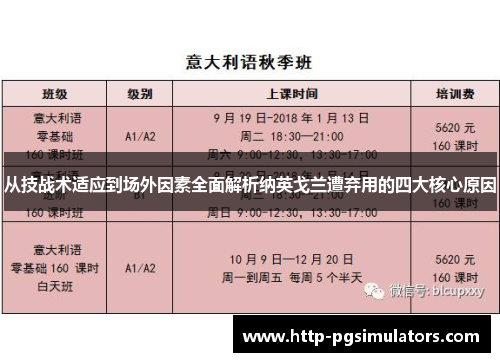 从技战术适应到场外因素全面解析纳英戈兰遭弃用的四大核心原因