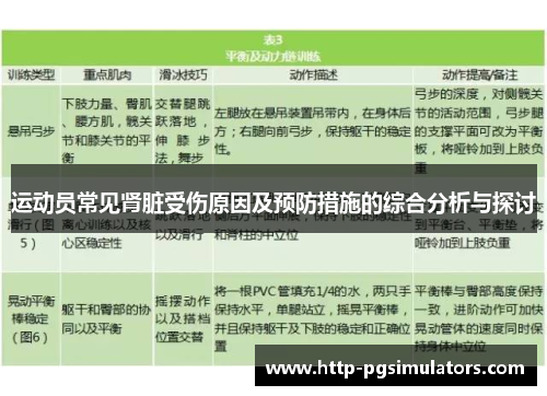 运动员常见肾脏受伤原因及预防措施的综合分析与探讨