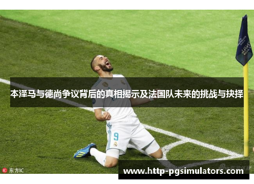 本泽马与德尚争议背后的真相揭示及法国队未来的挑战与抉择